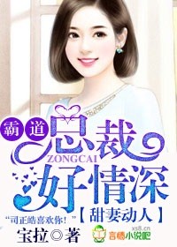 霸道縂裁甜寵妻小說有哪些封面