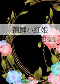 錦鯉小紅娘小說封面