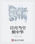 日月儅空照中華小说封面